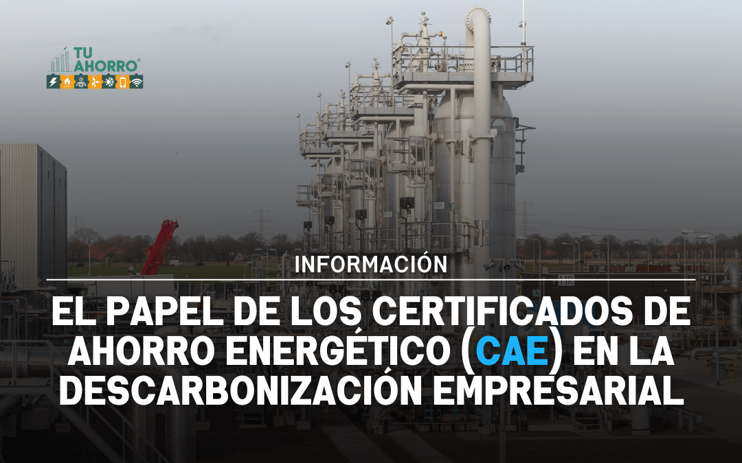 El rol de los Certificados de Ahorro Energético (CAE) en la descarbonización empresarial